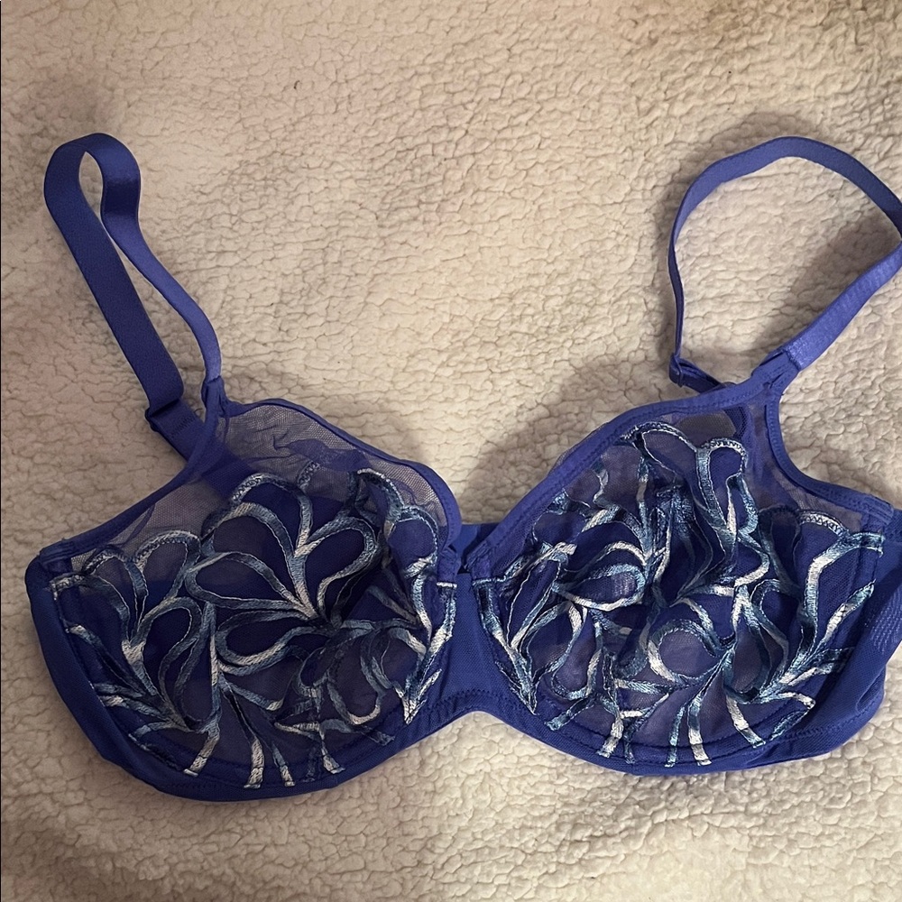Paramour Lotus Blue Bra with White Accents